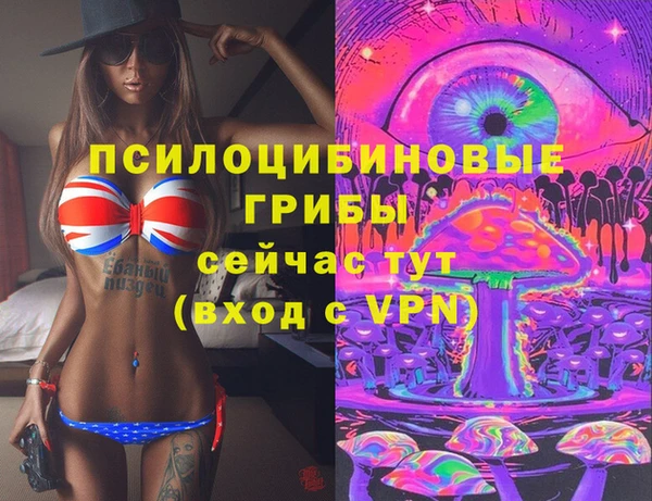 мдпв Зеленокумск