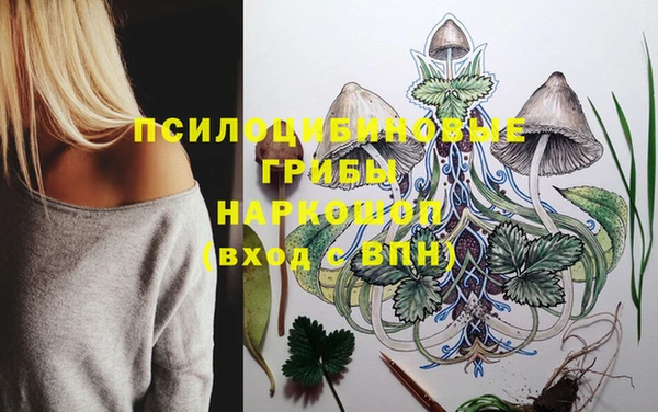мдпв Зеленокумск